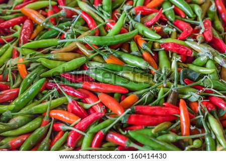 horizontal orientation of brightly colored variety of sweet peppers with copy space / Horizontal Sweet Peppers