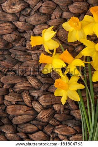 vertical orientation close up of bright daffodils on a neutral, woven, textured background with copy space on the left side / Vertical Daffodils on Woven Background