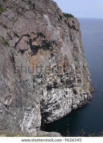Rugged rock cliff covered in white bird droppings.  Newfoundland.  Canada.