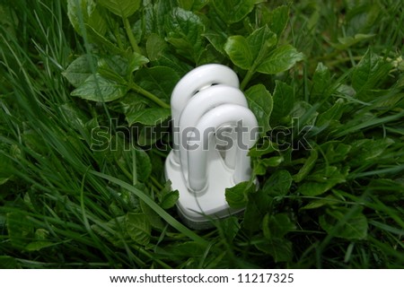Compact fluorescent light bulb on grass