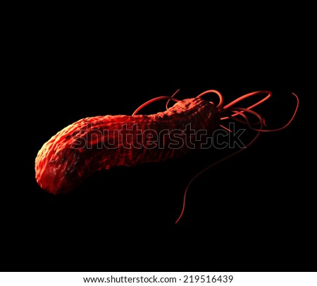 helicobacter pylori