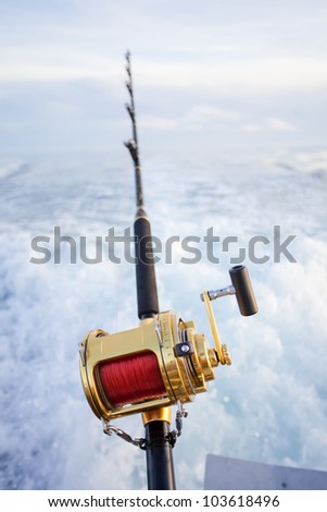 big game fishing reel in natural setting