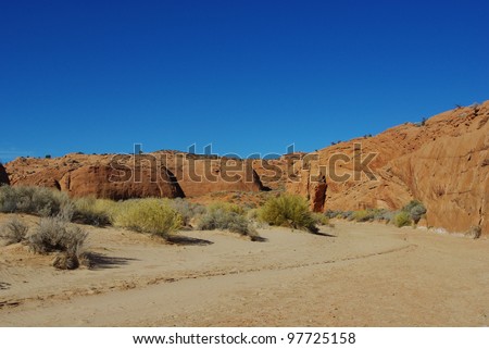 Sand, red rocks and green variations near Peek-a-boo slot canyon, Utah