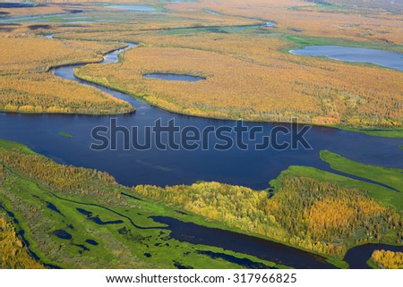 Aerial view of marshy terrain with river in autumn. Leafs of trees are painted in different bright colors.