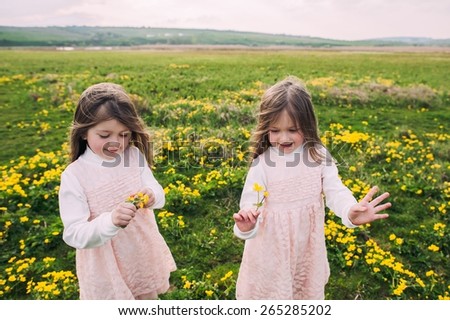 cute twin sisters, embrace on a background field with yellow flowers