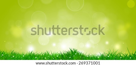 abstract bright spring banner with green grass