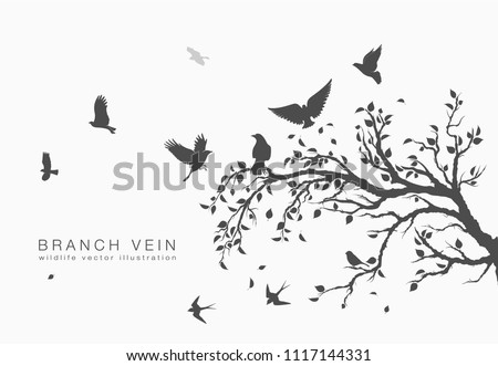 Bird Wing Vector