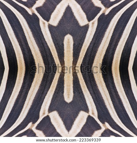 Seamless pattern made from Common Zebra or Burchell\'s Zebra (Equus burchelli) skin