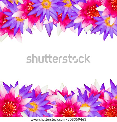Beautiful lotus flower, lotus pattern, nature abstract background