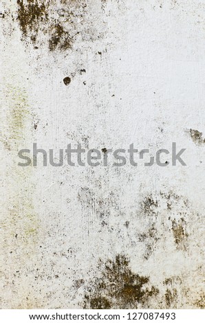 Dirty paint color white wall for background use