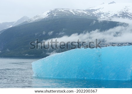 birds on blue iceberg floating in alaska