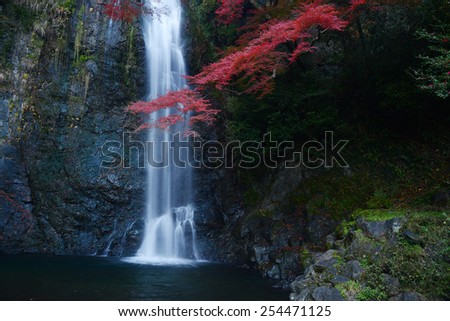 Minoo waterfall near osaka with red maple branch
