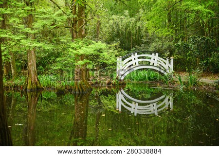 a white bridge in a swamp area in magnolia plantation near charleston