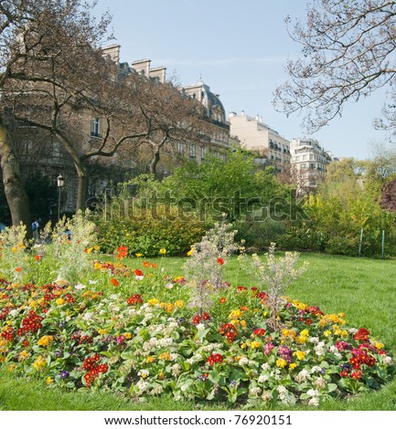 Spring In Paris, Garden blooming tree with tulips