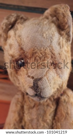 Teddy bear, head of an antique teddy bear, old and worn