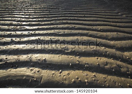Yellow sand texture and background