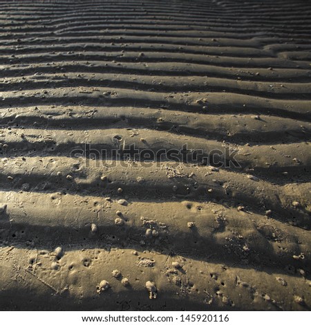 Yellow sand texture and background