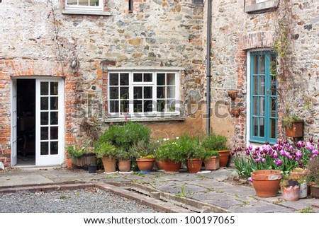 Backyard with tulips and orange flower pots