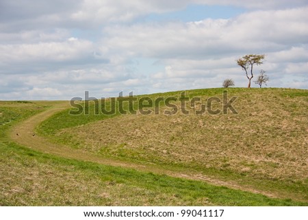 Three trees on a green hill against a light blue sky with clouds