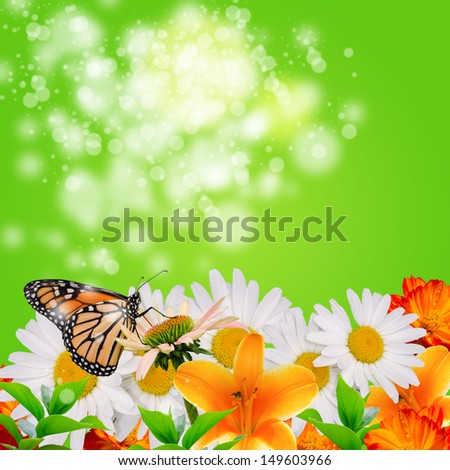 abstract spring background with colorful flowers, butterfly and bokeh effect