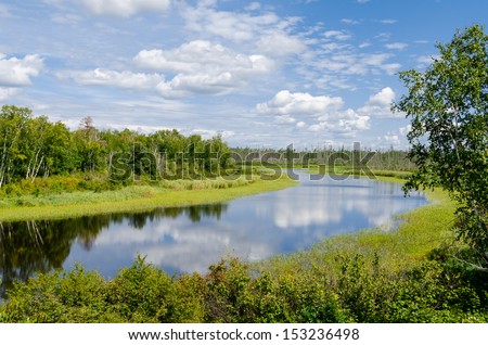 an image of wilde nature, lake, forest, blue sky and white clouds