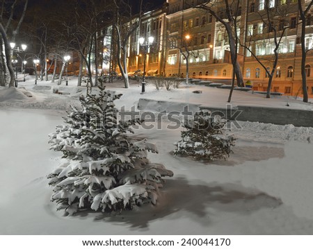 Winter, sunset, night, fresh snow, twilight, Vladivostok