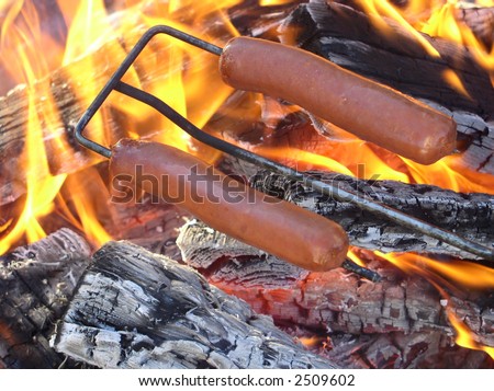 two hot dogs being roasted over a fire