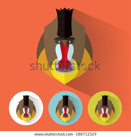 Animal Portrait with Flat Design / Mandrill / Vector Illustration