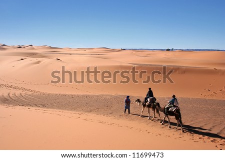 Tourists on a camel ride in the Merzouga desert (Morocco).