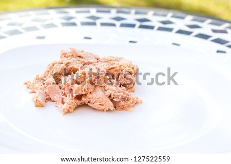 tuna flakes in oil on a white plate