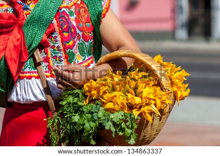 Woman in ethnic traditional Mexican dress, Latin America. Travel background for Mexico.