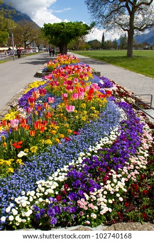 Tulips and gorgeous landscaped flower bed in Interlaken, Switzerland