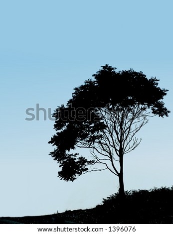 High contrast  image of a tree with blue background
