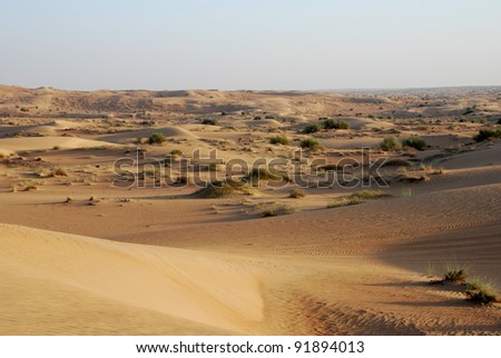 Sand and dunes in the Arabian desert (United Arab Emirates)