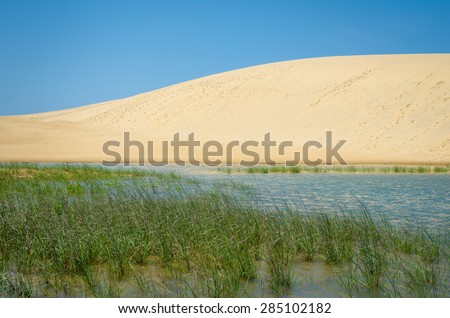Jockey\'s Ridge State Park in the Outer Banks of North Carolina is the tallest natural sand dune system in the United States. Freshwater marshes can be found among its sand dunes.