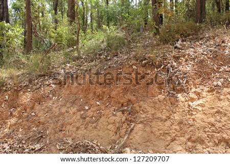 Gravel deposits cut away through forests   alongside west Australian country road