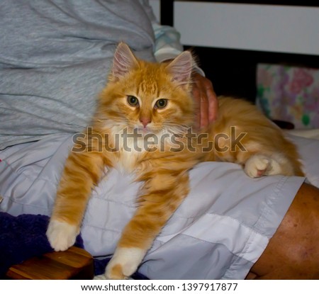 Shutterstock Puzzlepix
