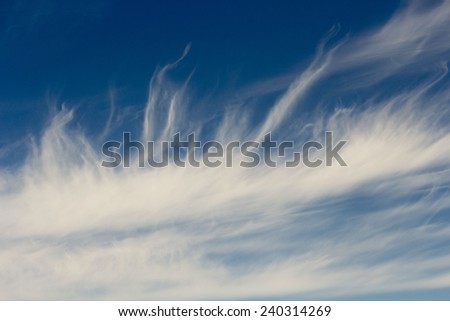 High white  wispy cirrus clouds  in  a blue Australian sky  sometimes called mare's tails   blown by high winds into long streamers indicate fine weather    but  stormy changes coming.