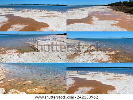 Stunning collage of  Lake Clifton south western Australia and the rare colony of  6 kilometre long thrombolite  stromatolites  living rocks structures in the shallow water.