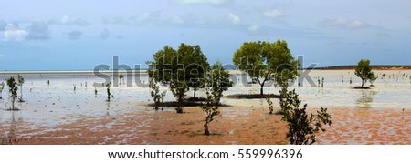 Roebuck Bay