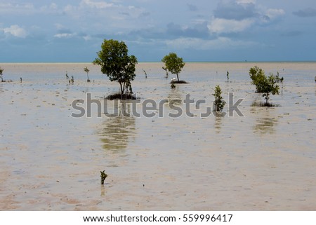 Roebuck Bay