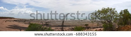 Remote Roebuck