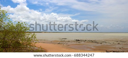 Remote Roebuck