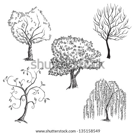 Vector Trees Collection - 135158549 : Shutterstock