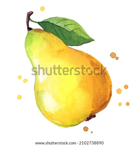 juicy ripe yellow sweet pear watercolor ilustration