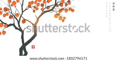 Image, Stock Photo Persimmon on the tree