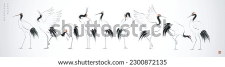 Japanese red-crowned crane birds in oriental style on white background. Translation of hieroglyph - well-being.