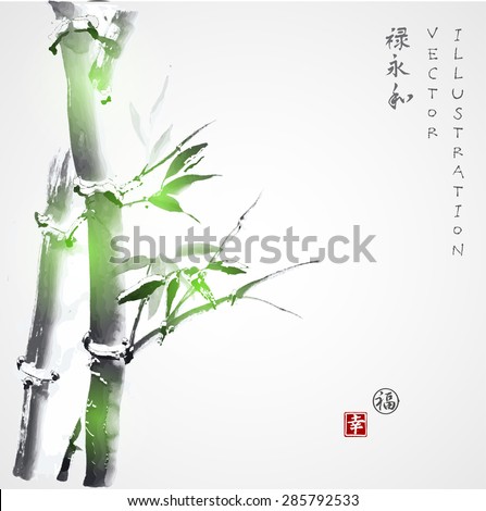 Card with green bamboo in sumi-e style. Hand-drawn with ink. Vector illustration. Traditional Japanese painting. Contains hieroglyphs 