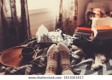 Similar – Foto Bild gemütlicher Wintertag zu Hause bei einer Tasse heißem Tee