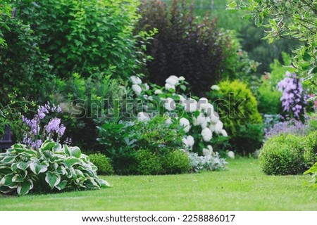 Similar – Foto Bild Blumenbeet mit verschiedenen Blumen im Park